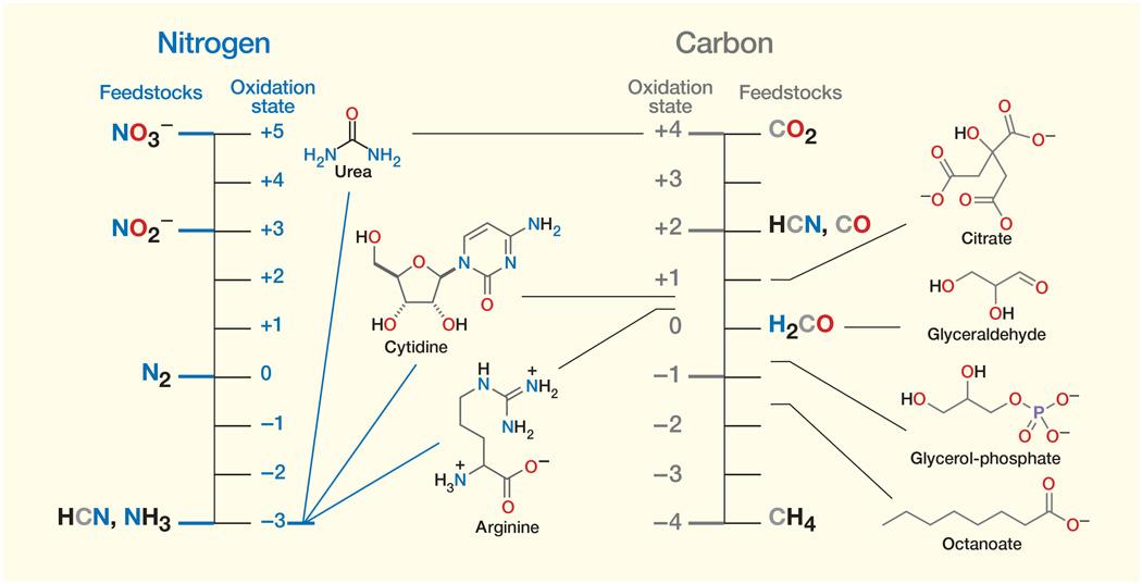окислительные состояния углерода и азота и биология